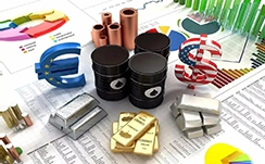 2026年福建省武术协会年会在石狮举行